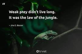 ProCongo tweet media