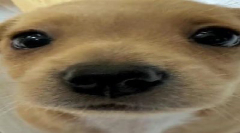 ͏ ͏ ͏ ͏ ͏ ͏ ͏ ͏ ͏ ͏ً tweet media