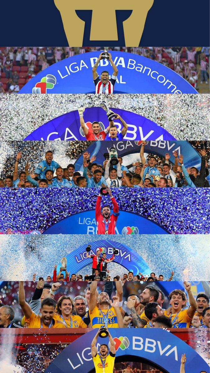 Capitana Canelita tweet media