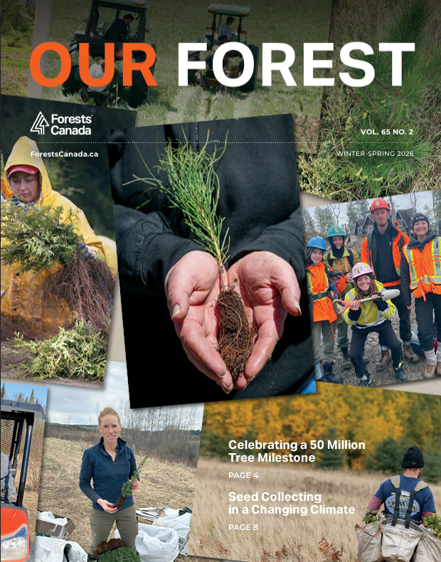 Forests Canada tweet media