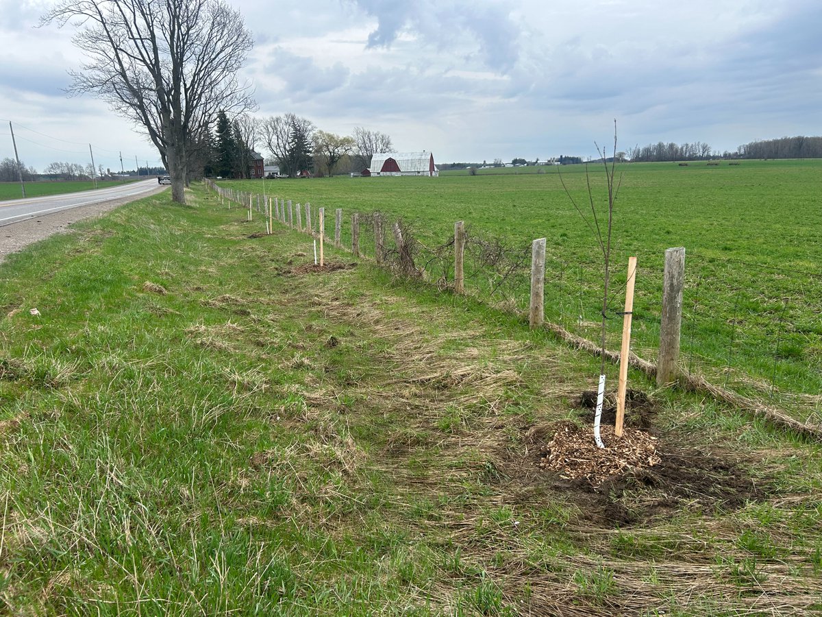 PerthCounty's tweet photo. 📰 On April 18 Perth County in collaboration with the Rotary Club of Stratford, completed an exciting roadside tree planting initiative.

🌳189 new trees along 4km of Perth Road 112

Full Story: https://t.co/qEwqpcPM0t https://t.co/UXCtVXmir4