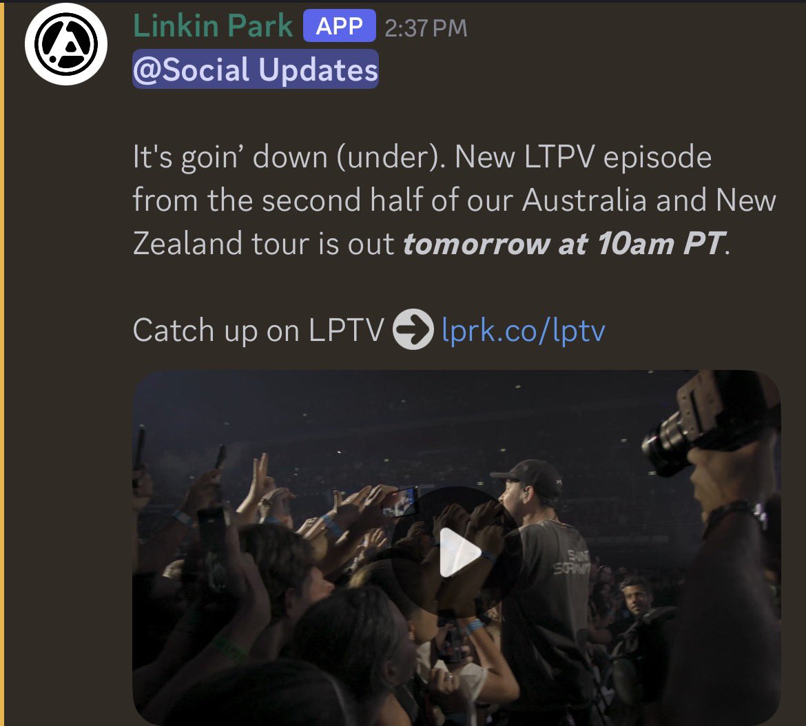 W | 33 days until Hamburg! tweet media