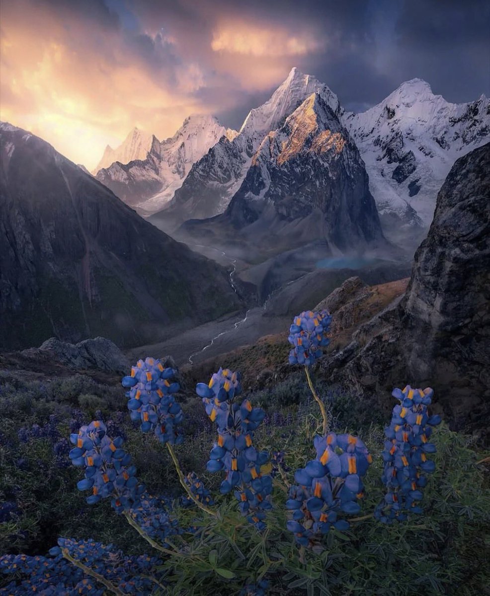 earthcurated's tweet image. Springtime in the Peruvian Andes ✨