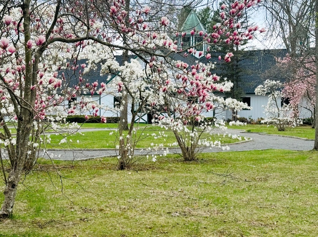 Sugar Maple Farm NY tweet media