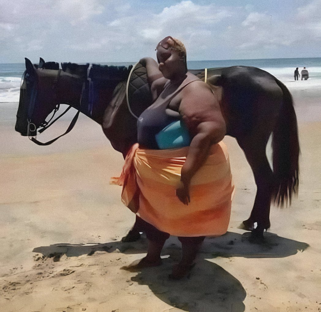 Sarah For Trump🇺🇸🇮🇱 tweet media