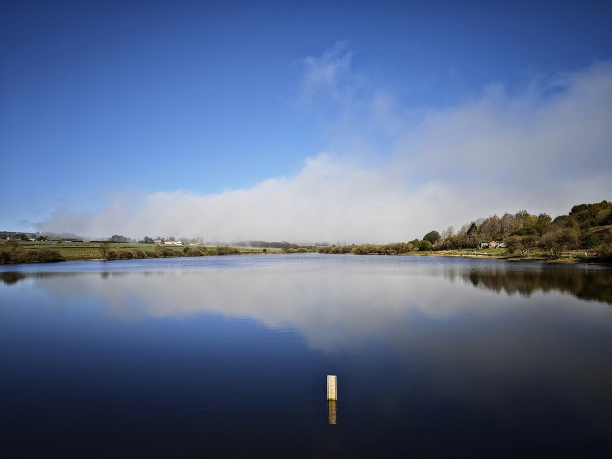 chrisbu03352910's tweet image. #MondayBlue #BlueMonday
Morning fog bank at Scout dike...
📸