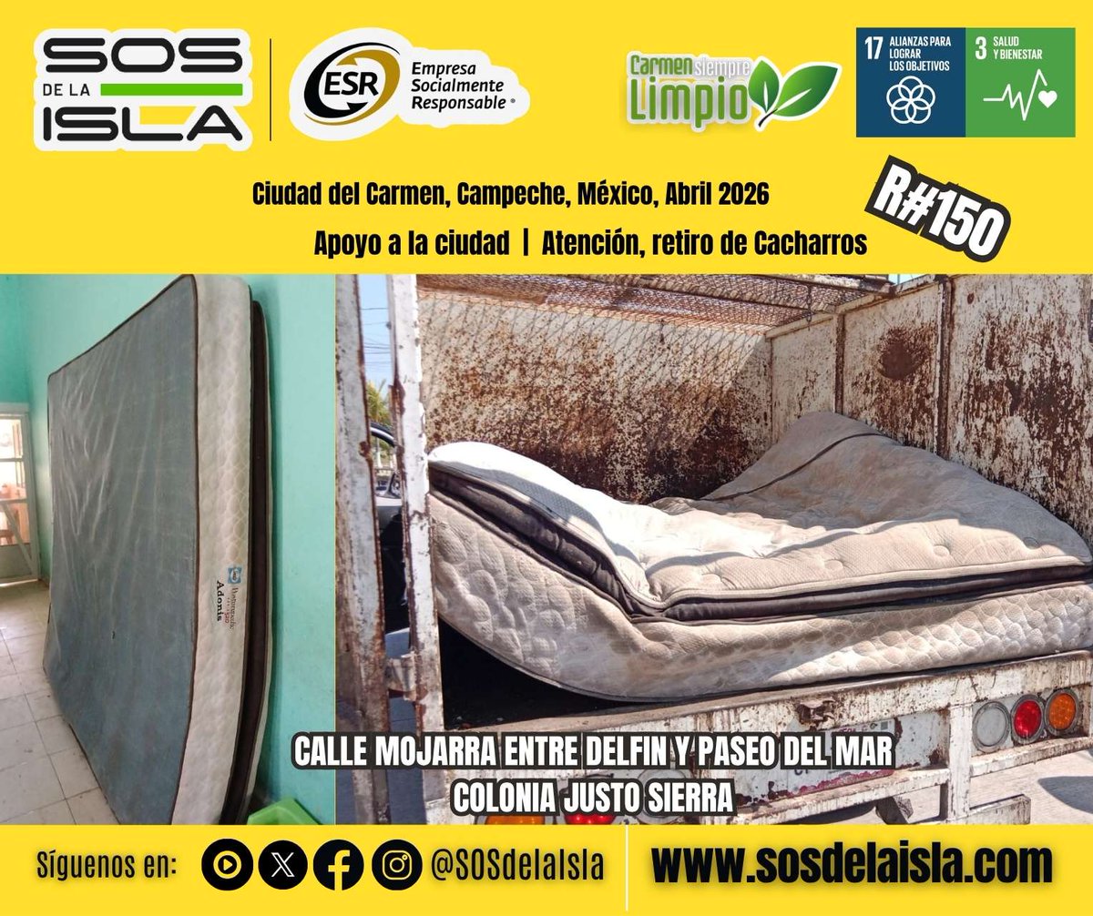 EN COLONIA JUSTO SIERRA 🏃‍♂️🚛
Respuesta a familias en la Ciudad que piden ser beneficiadas por nuestro programa de apoyo para Descacharro de artículos 🤝😉
¡CHITOS 💪🧢 Cumplidores!
#SOSdelaIsla 🏝🚮♻️🏞
#empresacarmelita 🆘💪💯