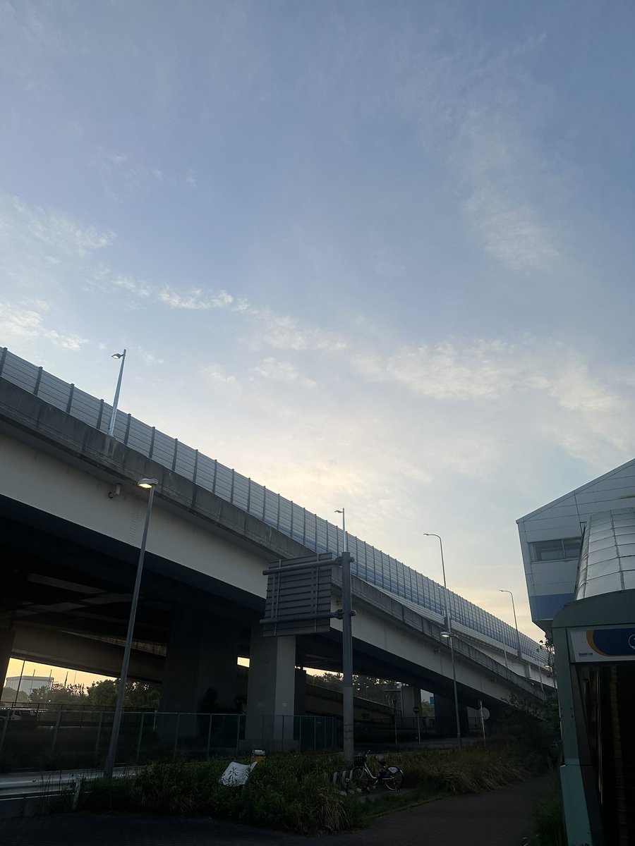 藤井 凌🐕🕊 tweet media