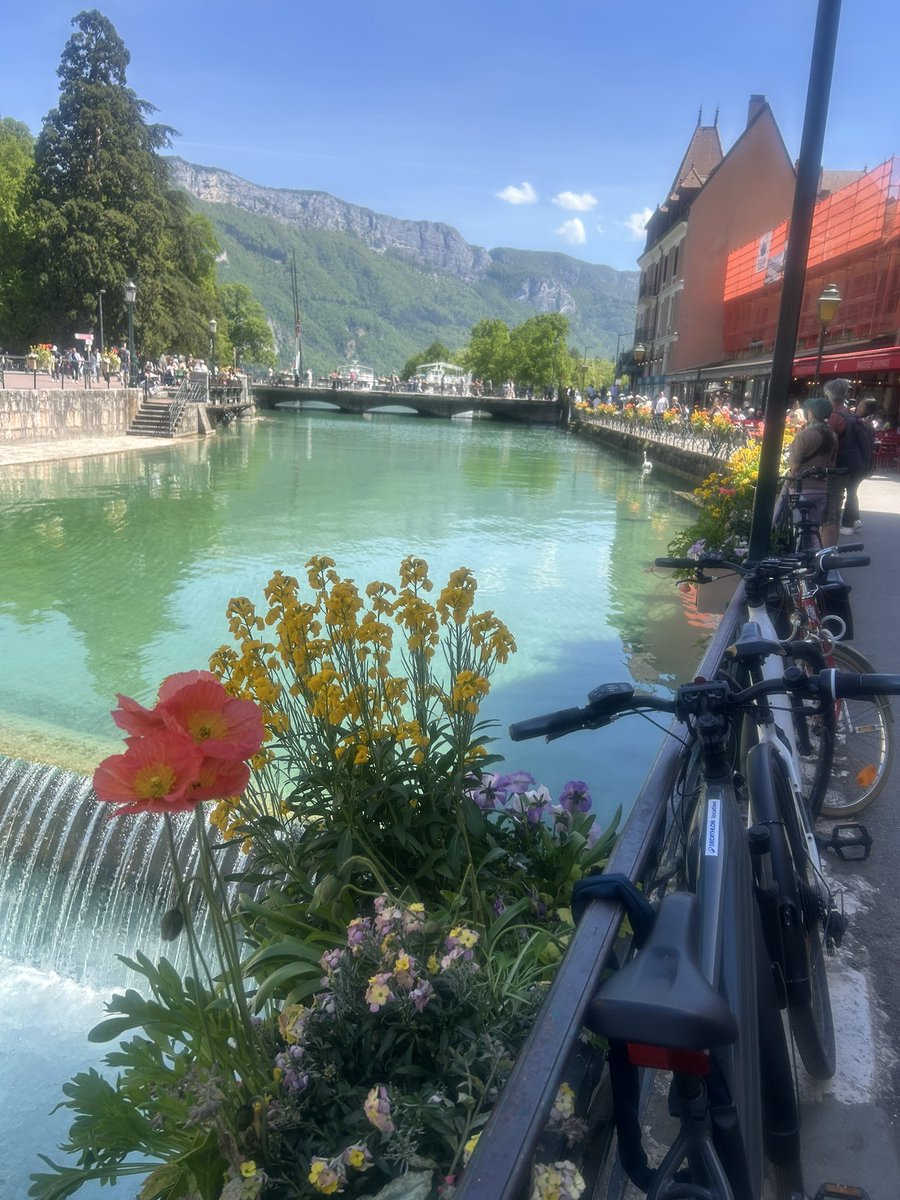 Какой же Анси прекрасный!