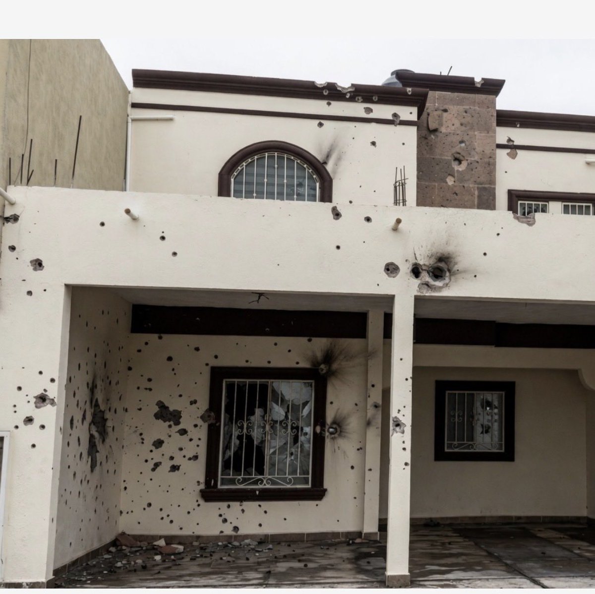 Saltillo Twit tweet media