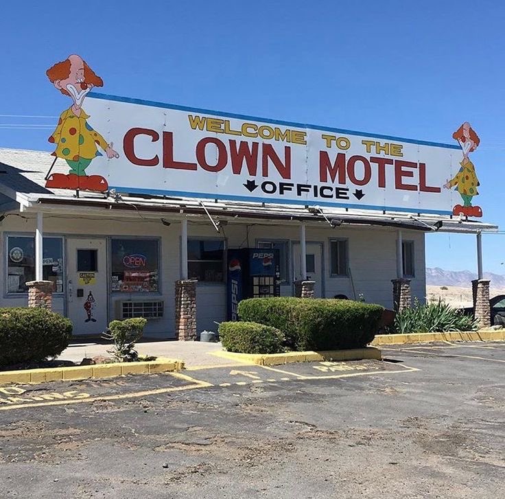 Witch 🕷 tweet media