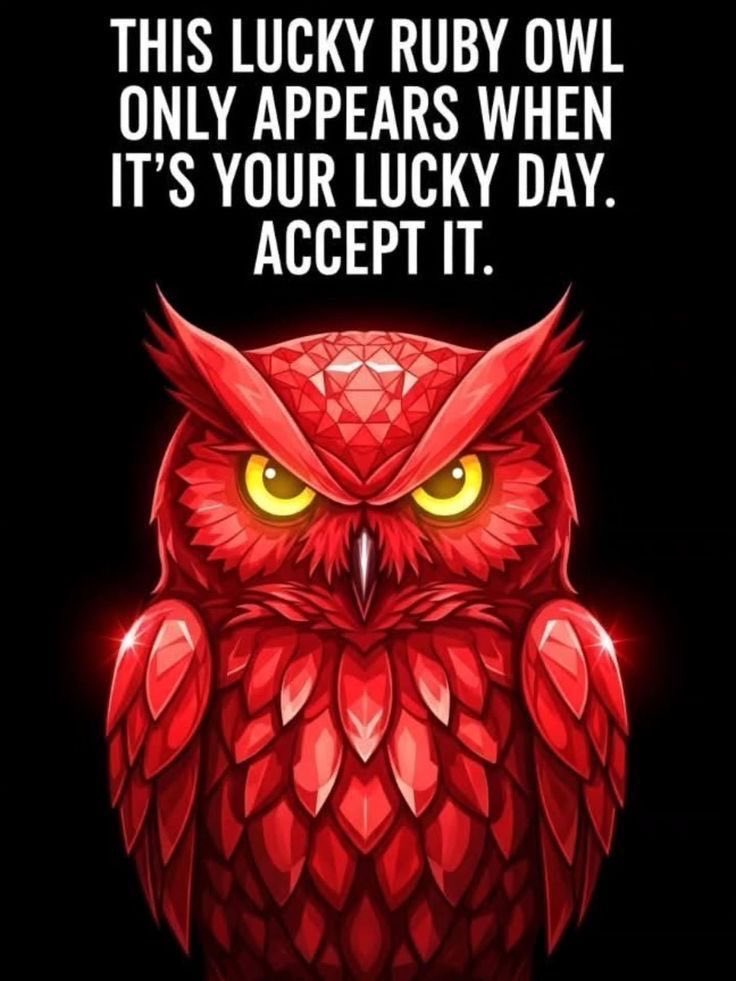 ProgressCode🌺 tweet media