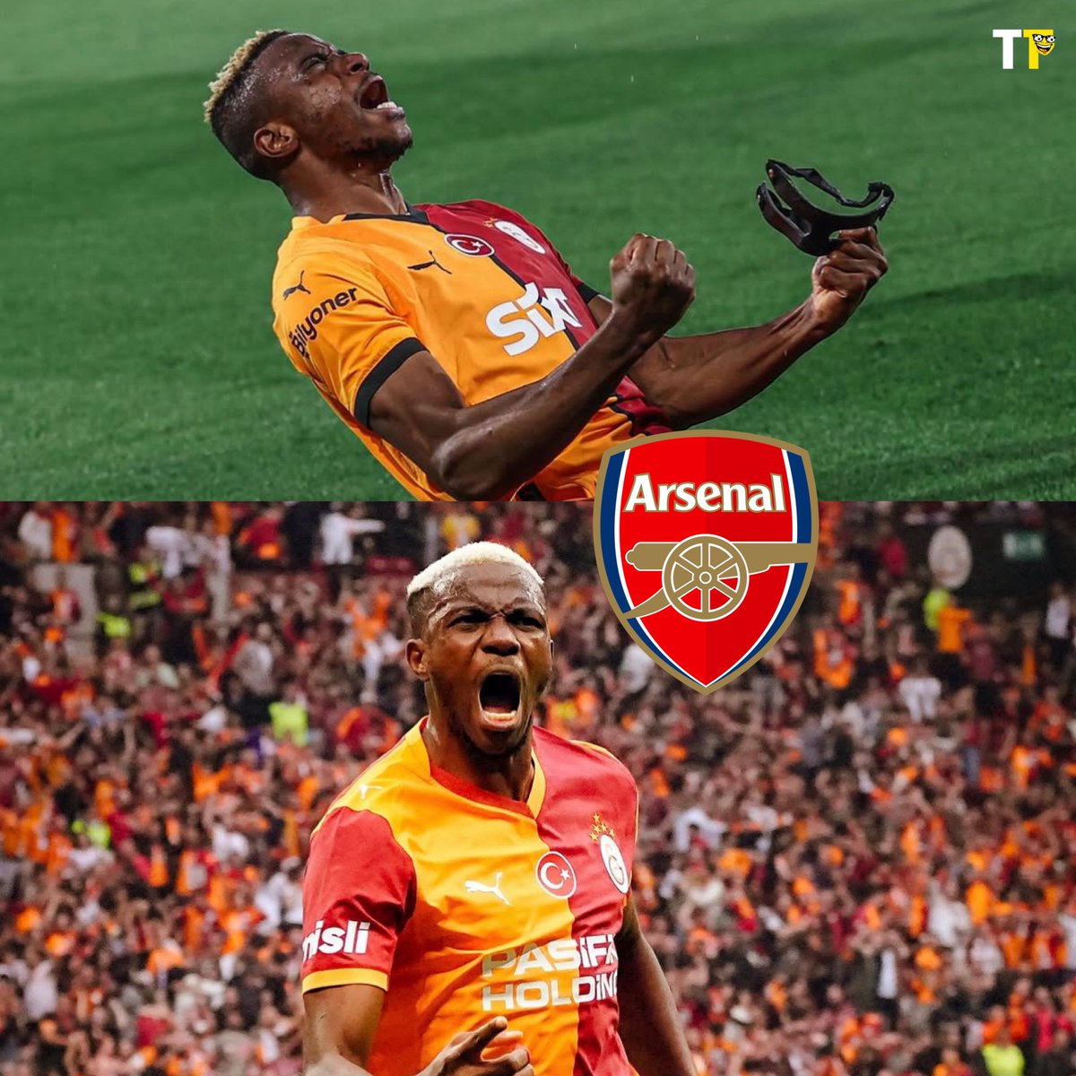 Troll Touchline tweet media