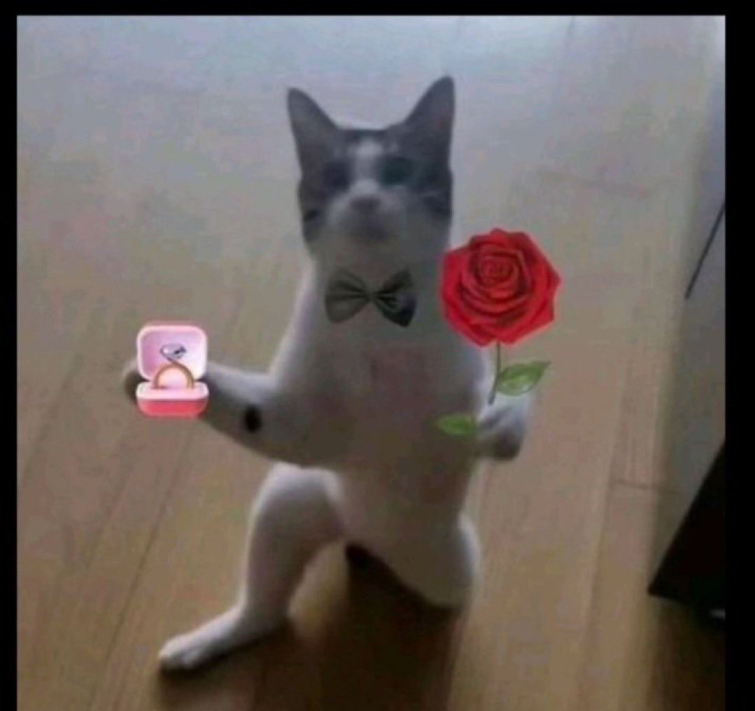 Maran💙❤️ tweet media