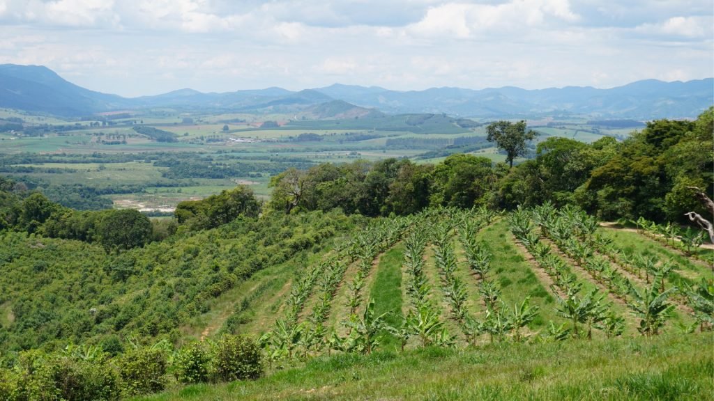 Sangwa Sifa Florence tweet media