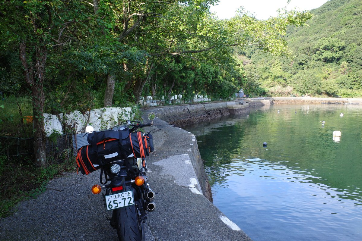 BANG-YOU（ばんゆう） tweet media