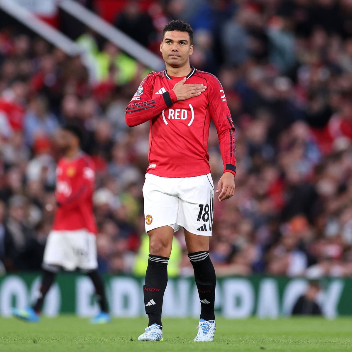 (fan) Frank 🧠🇾🇪 tweet media