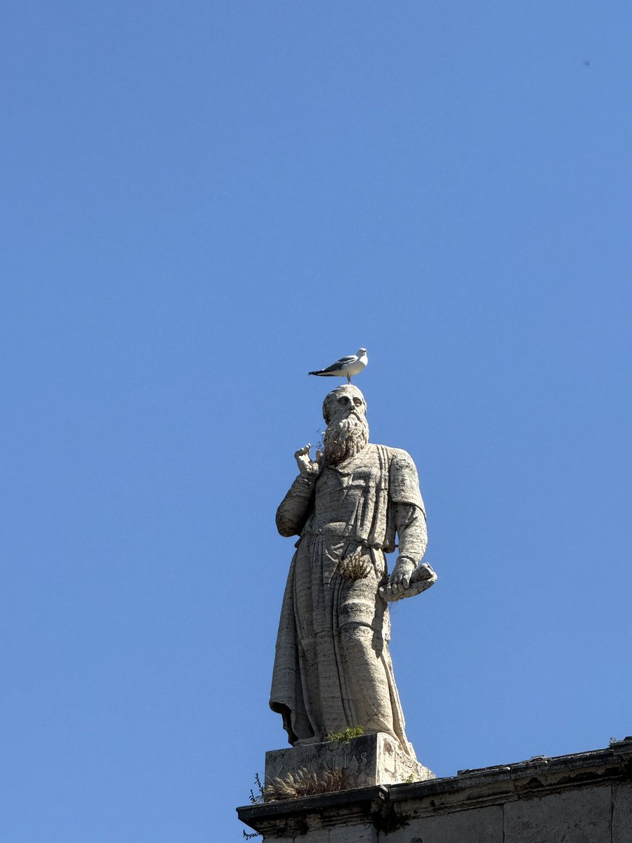 eliifsagdic's tweet photo. Telefonumu karıştırırken fark ettim bu fotoğrafı.
Bir zamanlar ölüme yürüyenlerin teselli aradığı yerde yükselen Santa Maria della Consolazione’nin cephesinde duran, yüzyıllardır umudu fısıldayan Zekeriya’nın üstünde bir martı :) https://t.co/4uWvCv6ccf