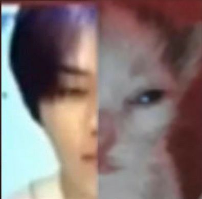 oque somos de acordo com o seu signo?  

áries = namorados
touro = amigos
câncer = crush
gêmeos = casados
leão = inimigos
escorpião = melhores amigos
libra = ficantes
virgem = amantes
sagitário = amigos
peixes = irmãos
aquário = primos
capricórnio = soulmates

kb da san