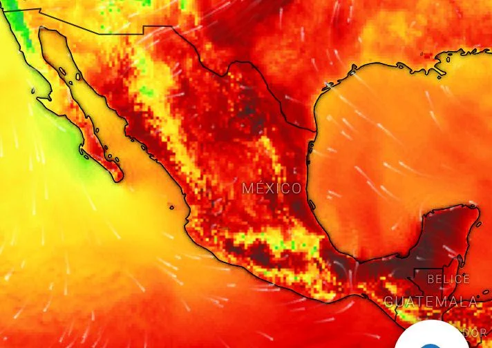 『《Decarioma》』 tweet media