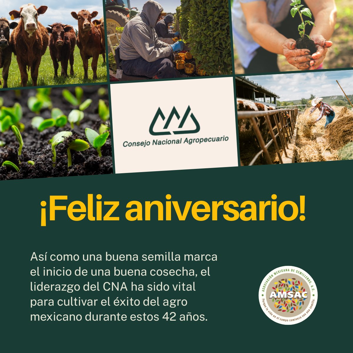 AMSAC Semilleros tweet media