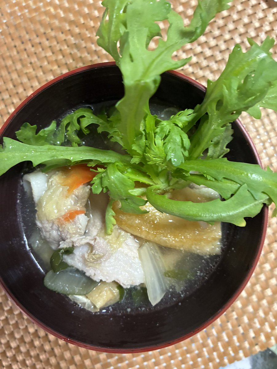 おはようございます！本日も晴天なり☀️ 「かみしま春菊」 現在の春の