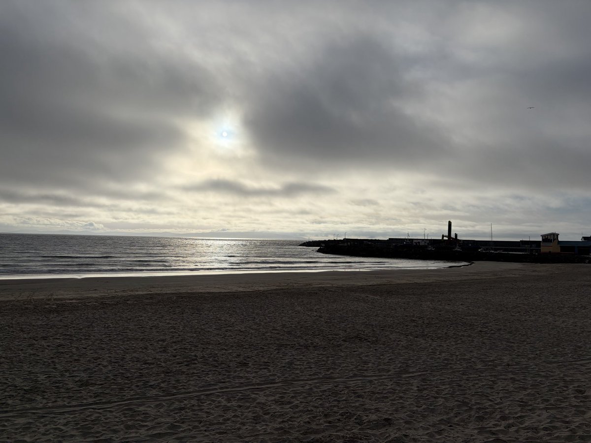 Tweeter of Wit tweet media