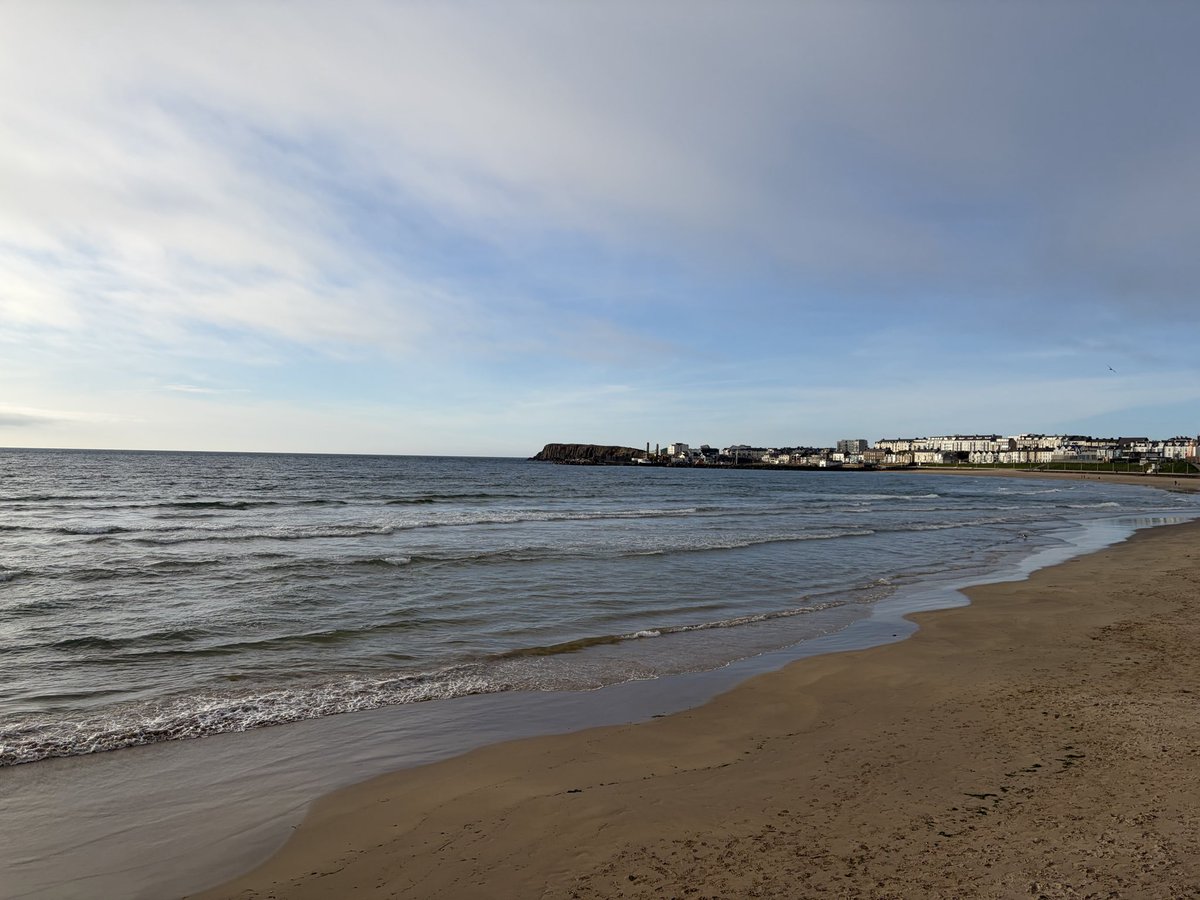 Tweeter of Wit tweet media