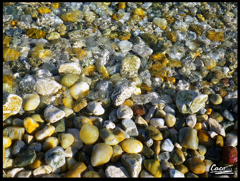caco_darkage's tweet photo. Pebbles on the beach...
#naturephotos #beach #pebbles #pebblesbeach #sea #nice #textures https://t.co/KRChQG4qRz
