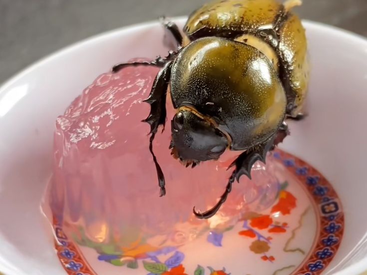 rio 🪲 bug BIOLOGY oomf tweet media