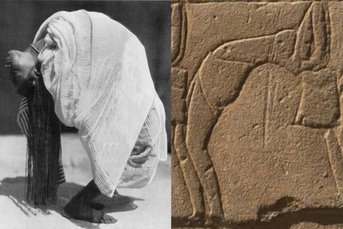 اور بعانخي تود 👑 🇸🇩 🇵🇸 tweet media