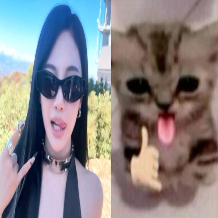 bao 🍋 tweet media