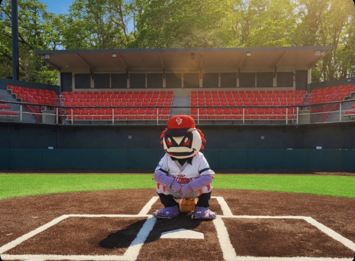 S-K Volcanoes 🌋⚾ tweet media