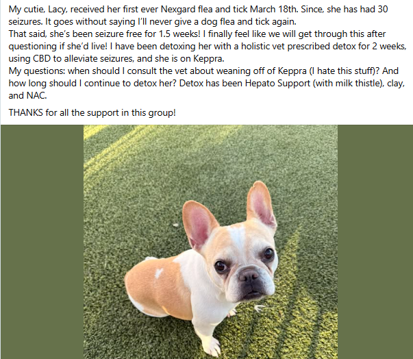 badpetmeds's tweet photo. Lacy has had 30 seizures after being given NexGard flea and tick medication. 😢 https://t.co/03Hhkg4poz