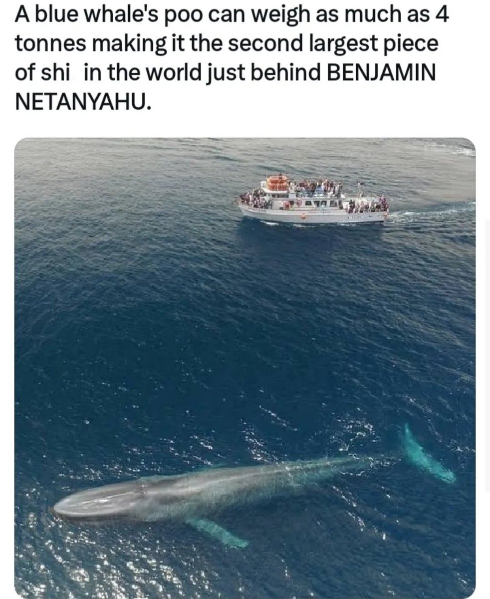 Dr. Honkey McCrackerface Esq. III tweet media