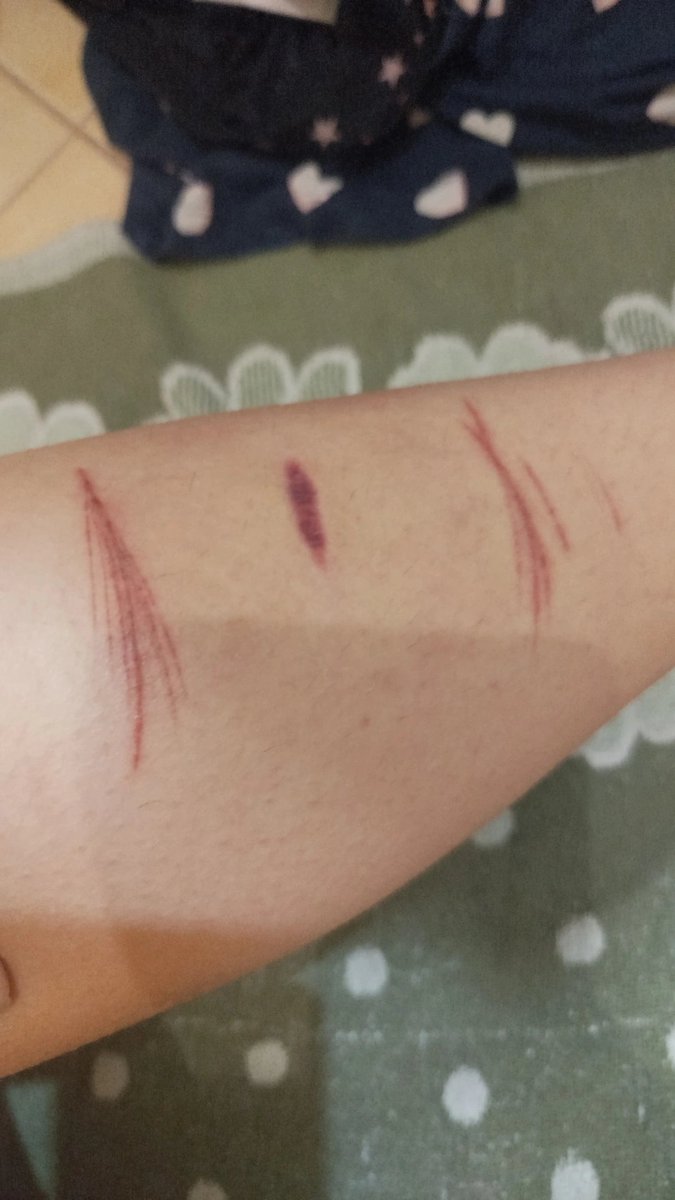 ⋆. 𐙚˚࿔ ⱽⁱᵒˡᵉᵗ ᵃⁿᵈ ᴱᶻʳᵃ ᵒᶠ ˢᴴᴱᴰᵀᵂᵀ 𝜗𝜚˚⋆ tweet media