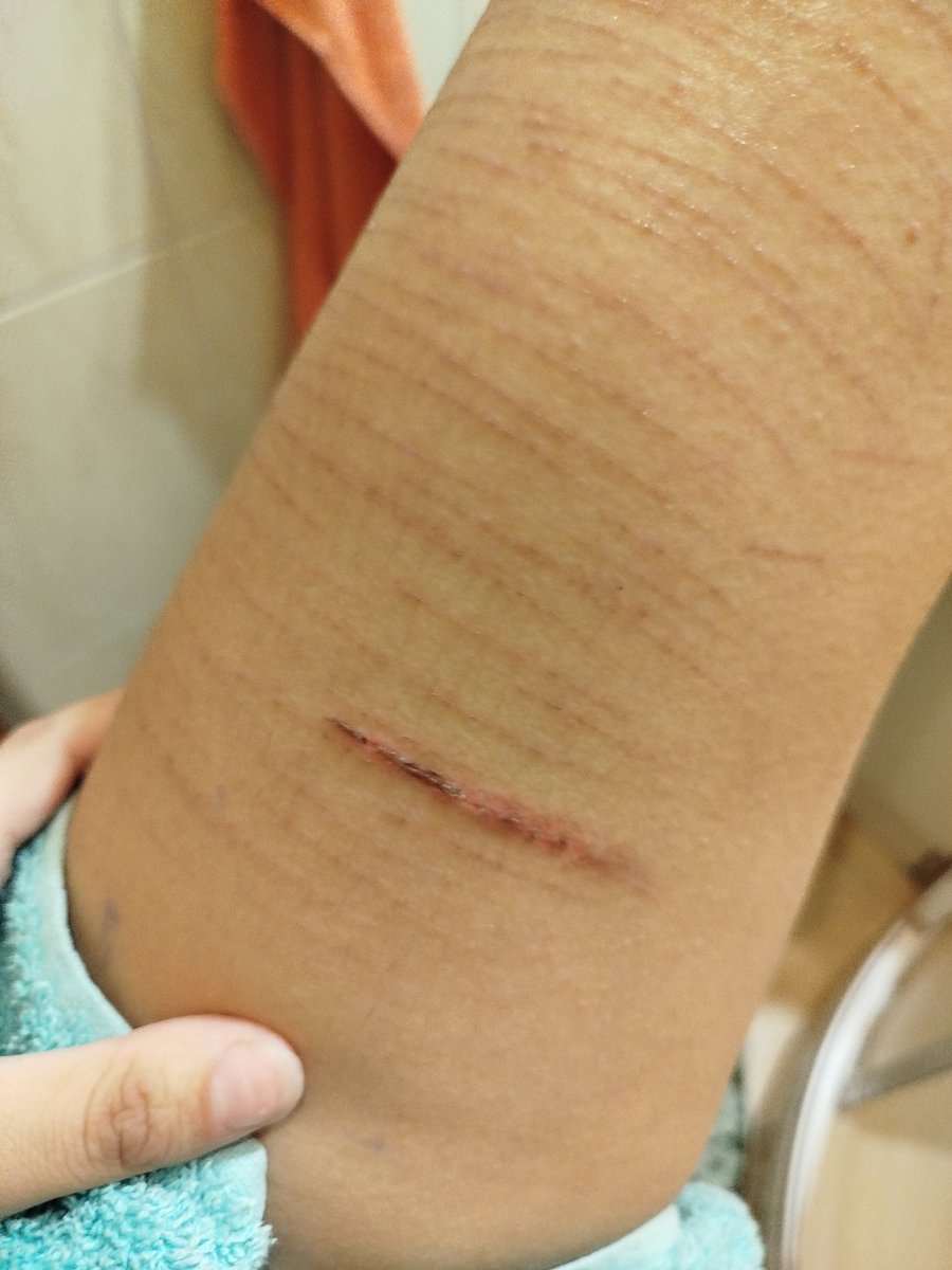 ⋆. 𐙚˚࿔ ⱽⁱᵒˡᵉᵗ ᵃⁿᵈ ᴱᶻʳᵃ ᵒᶠ ˢᴴᴱᴰᵀᵂᵀ 𝜗𝜚˚⋆ tweet media