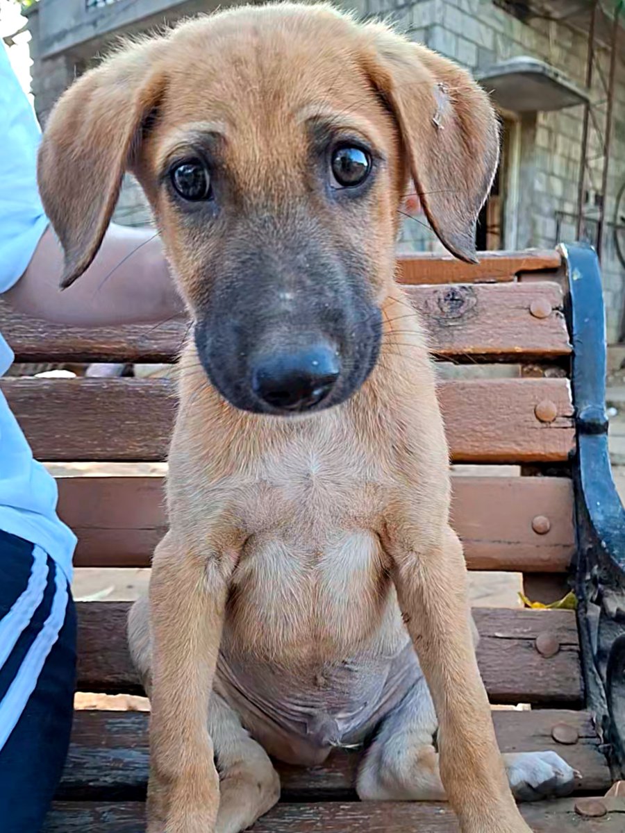 Kikikikiki tweet media