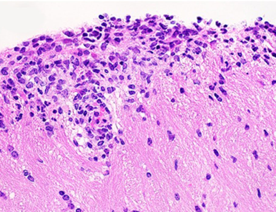 Science Immunology tweet media