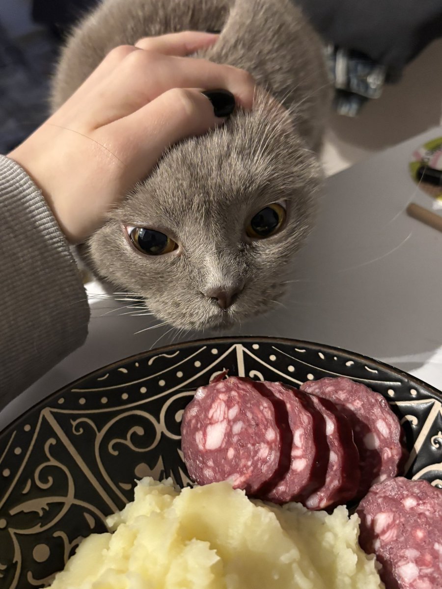 ria 👻 tweet media