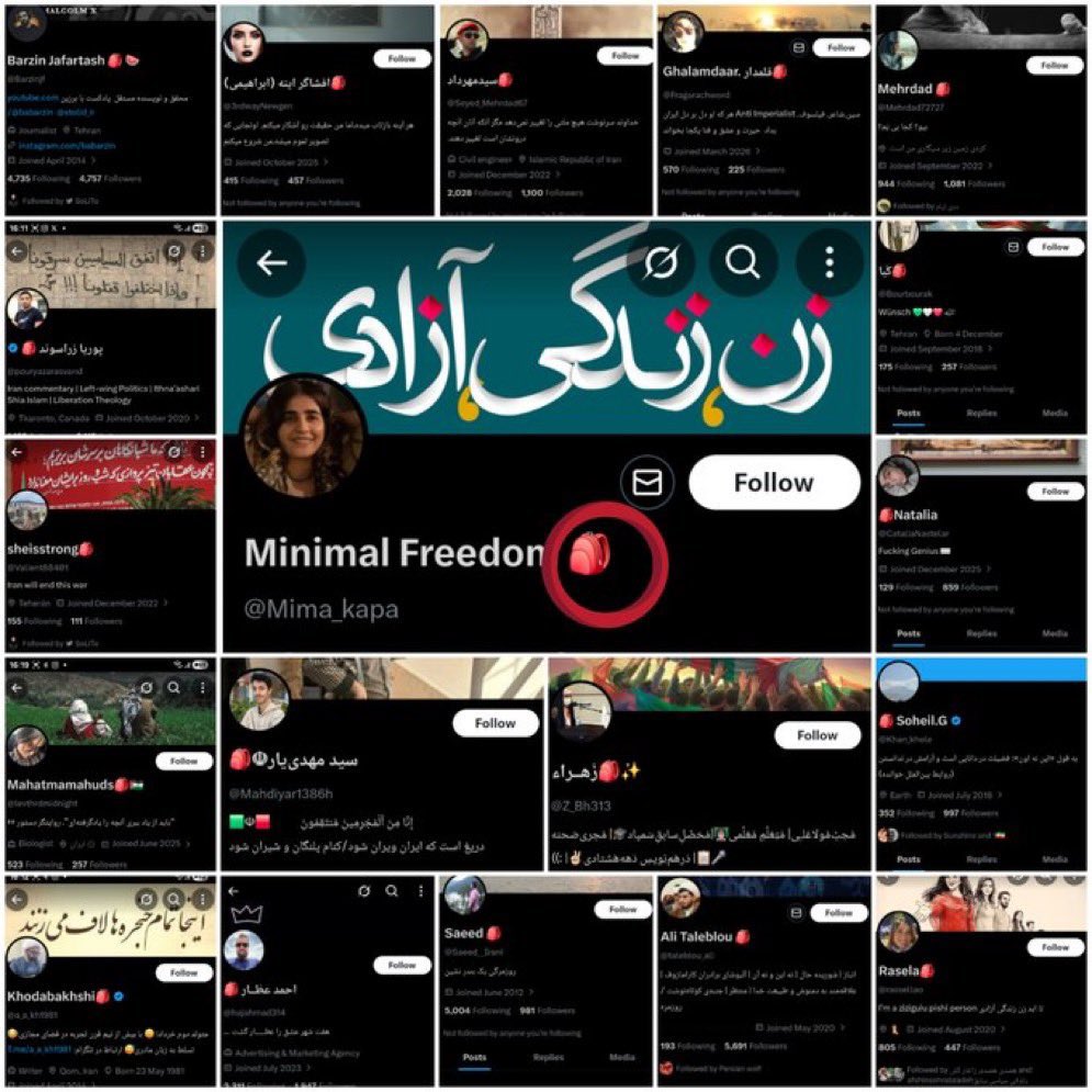 🦋 Anigma tweet media