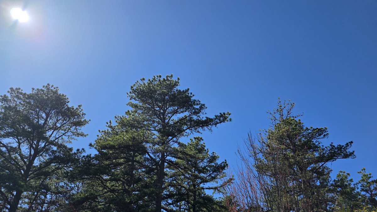 ContentWeatherGuy tweet media