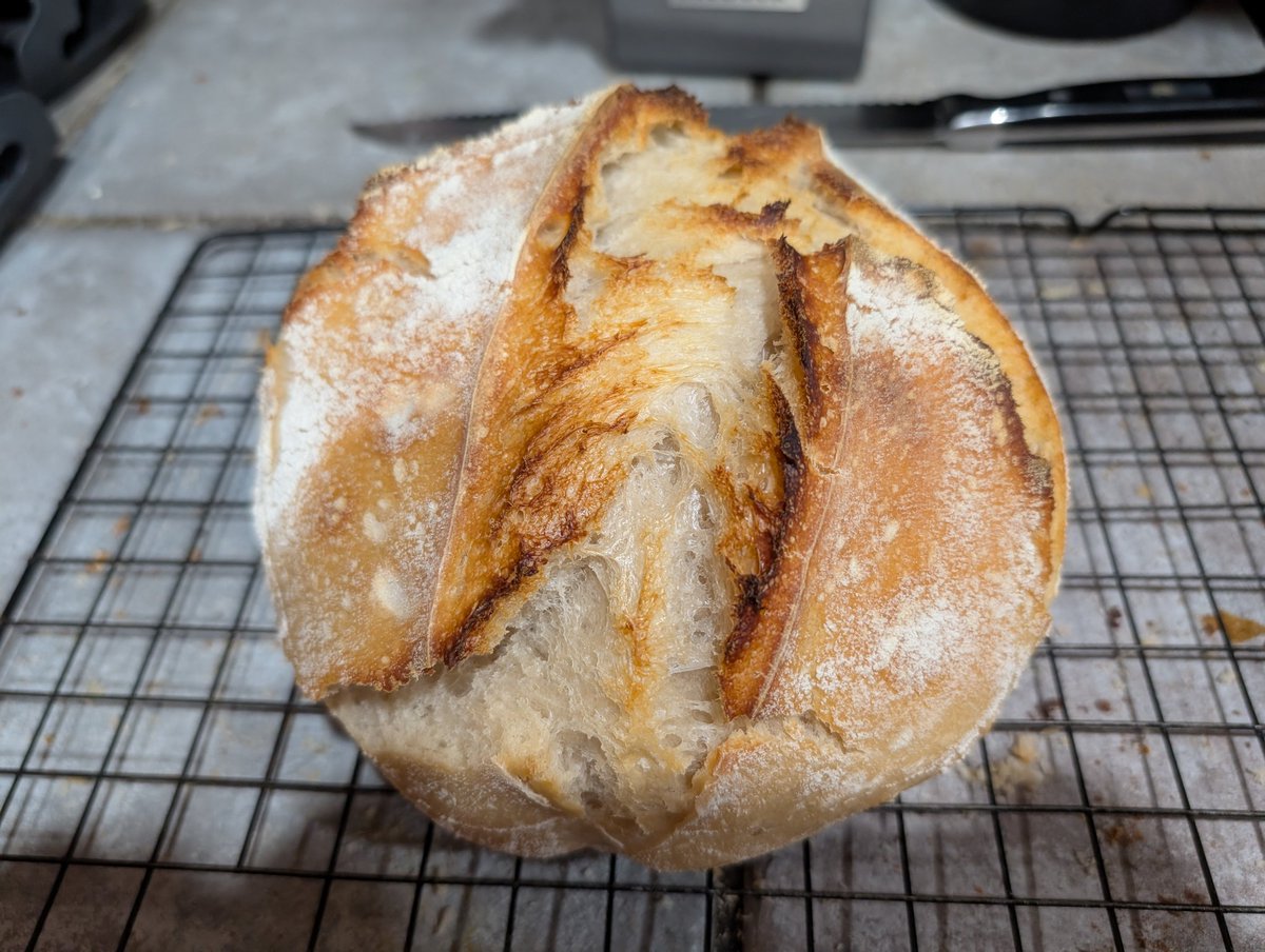 russhollander's tweet image. Today's #sourdough boule