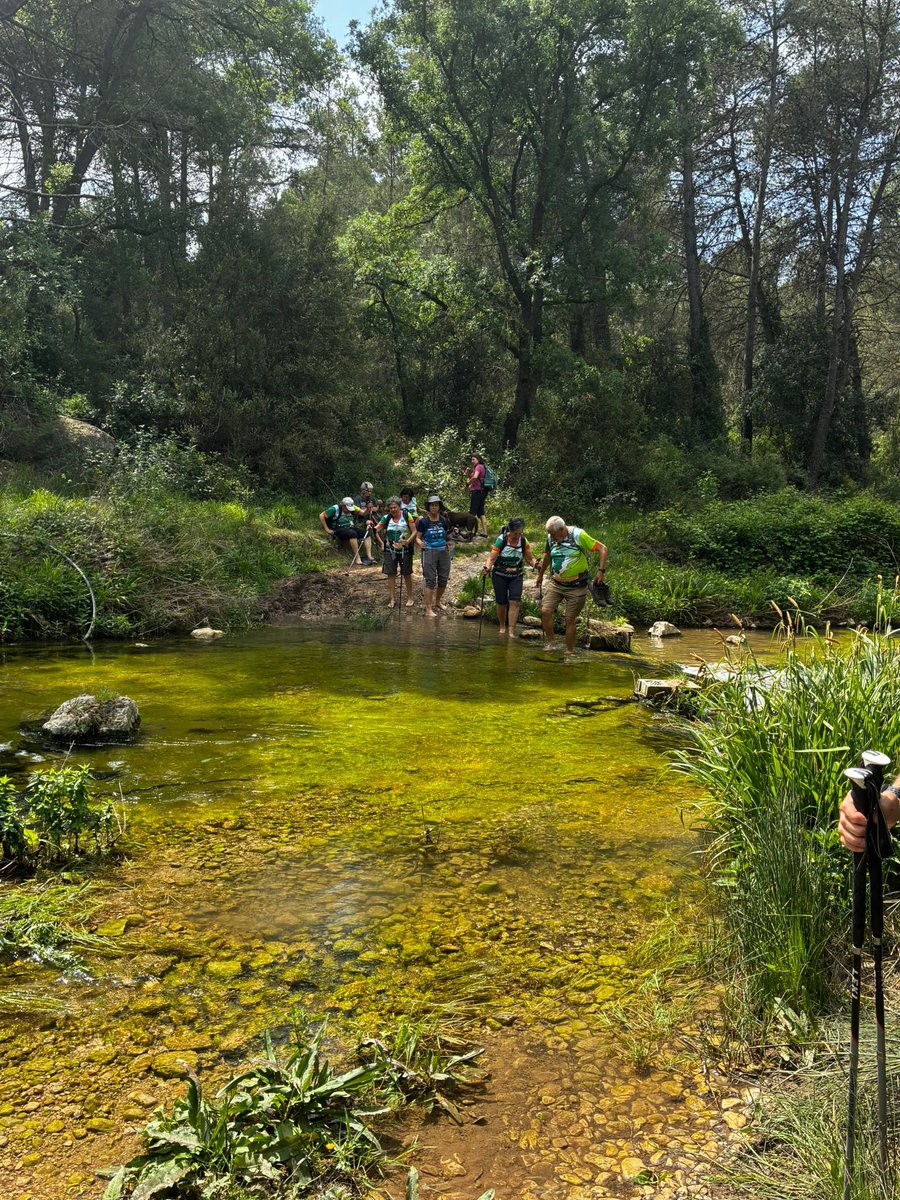 aampcat's tweet photo. Avui nova matinal dels dilluns. Hem reunit 17 socis per caminar per les passarel•les del Gaià, des de El Pont d’Armentera a Querol passant pel Gorg Negre. 11 kms i +300m. Mai com ara havíem vist baixar el Gaià com ara. Ni la frondositat de la vegetació! https://t.co/Cda5rAyziN
