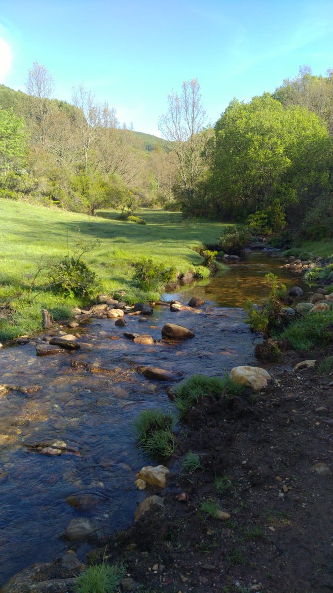 DaniElefantman's tweet image. E Señor es mi pastor, nada me falta:: en  verdes praderas me hace recostar;  me conduce hacia fuentes tranquilas y repara mis fuerzas.  Sal.23  #descanso #confianza #protección #cuidado #amor #hacerfotos