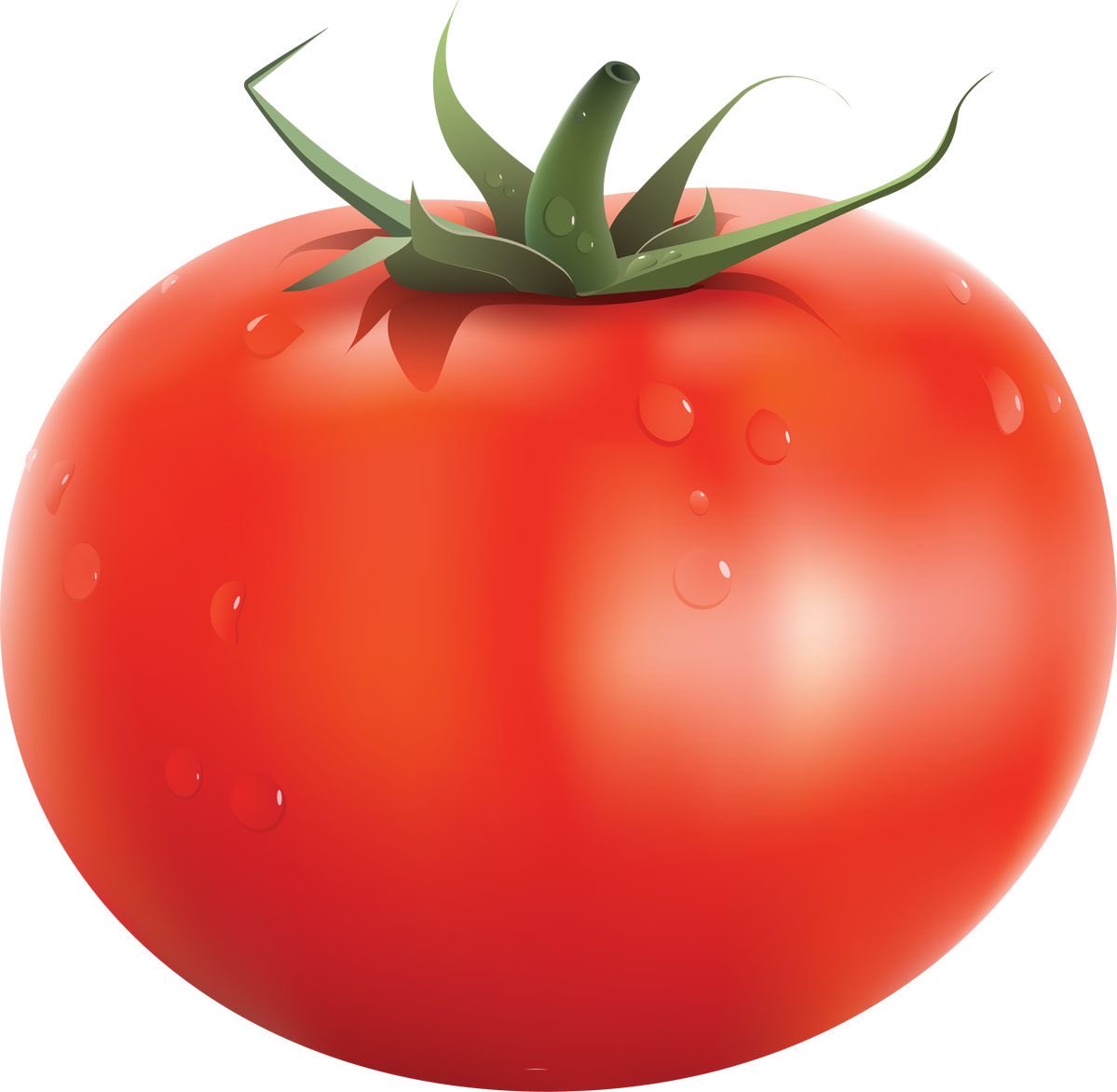 Tomato tweet media