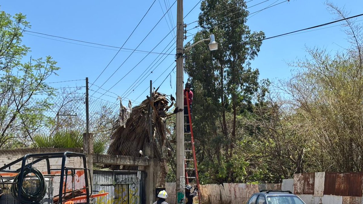 Nancy Benítez tweet media