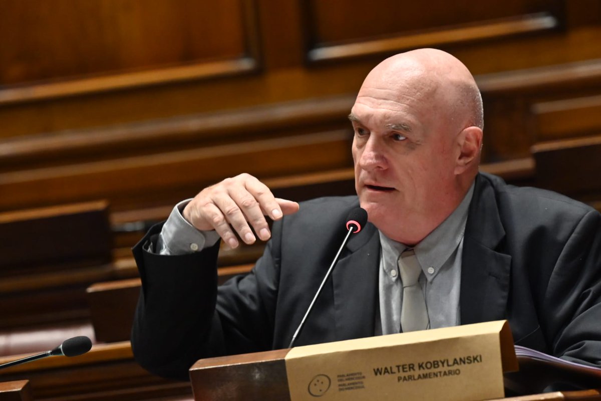 Parlamento MERCOSUR tweet media