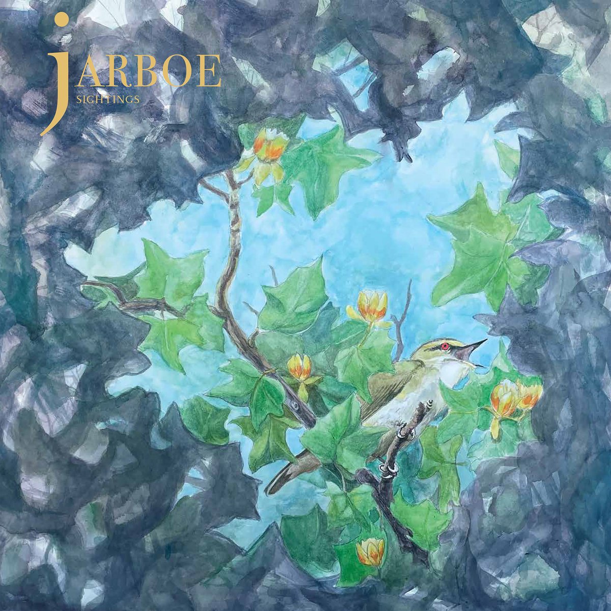 Postrockandmore's tweet photo. We  have always known that Jarboe La Salle Deveraux (ex-Swans) is a  nature-oriented artist, but on her latest album she pushes this even  further. Sightings is inspired by a vireo: a green migratory bird that  is rarely seen. Full review via
https://t.co/i6ixfdgCx6 https://t.co/TNerRxRZBi
