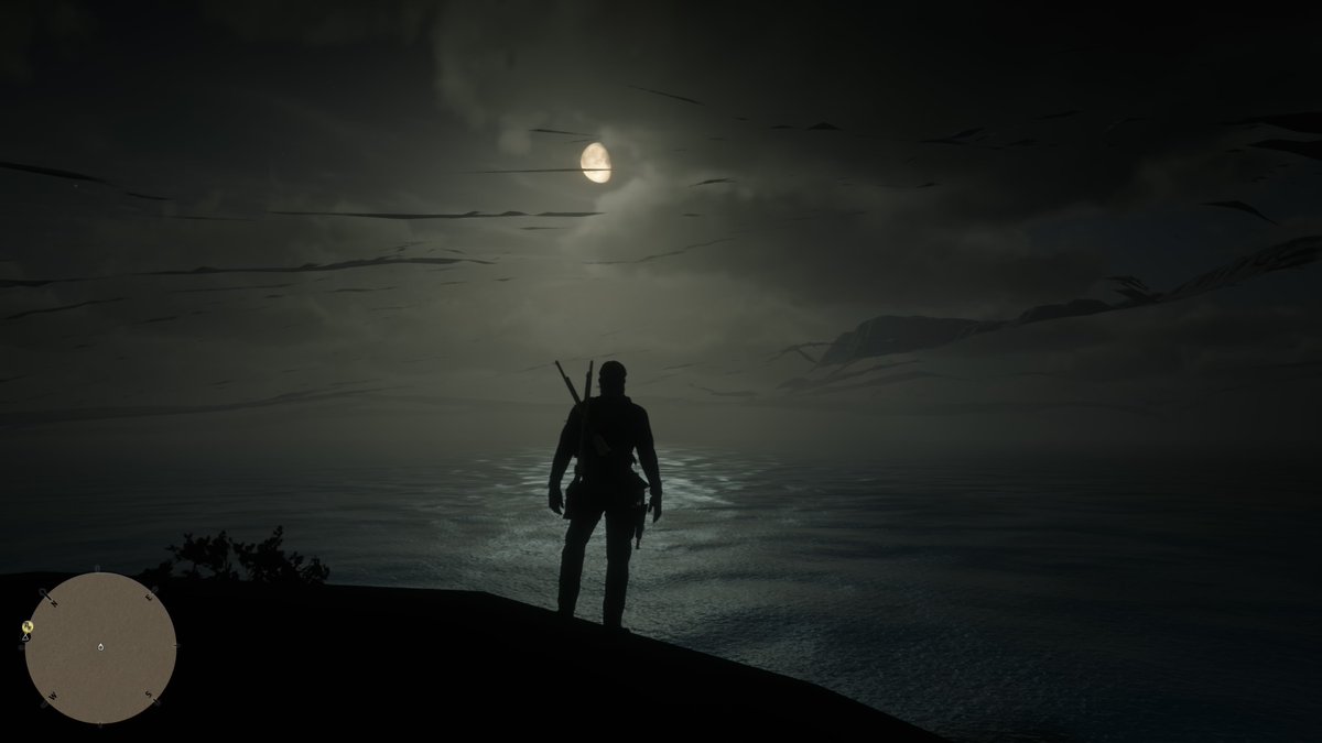 ImaLadyGamer's tweet image. #StandintheLight ☀️🌕
#RDR2